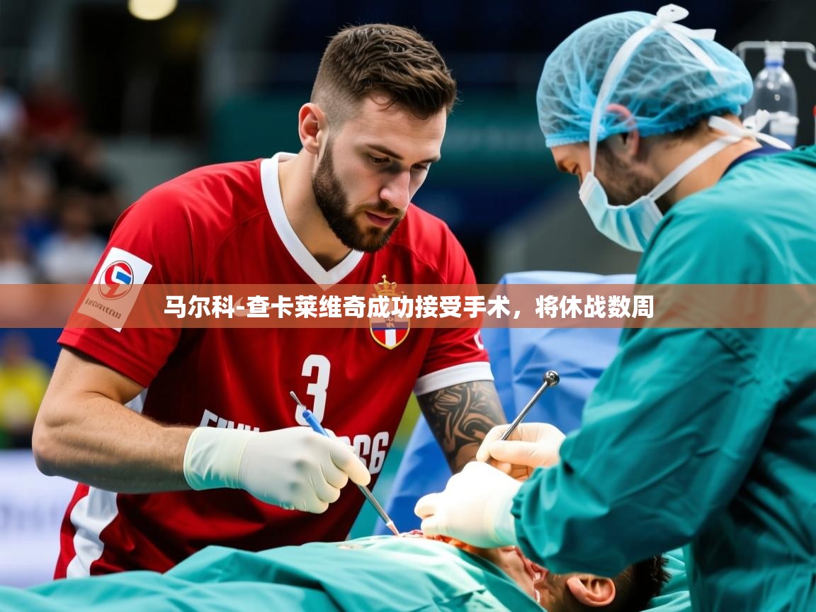 2025开云体育app官网下载地址马尔科-查卡莱维奇成功接受手术，将休战数周