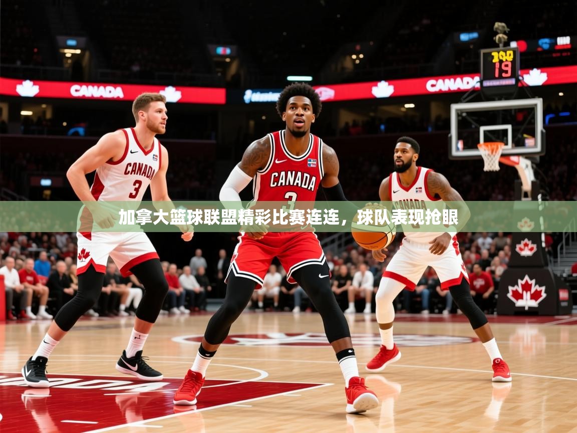2025开云体育注册下载加拿大篮球联盟精彩比赛连连,球队表现抢眼 第1张