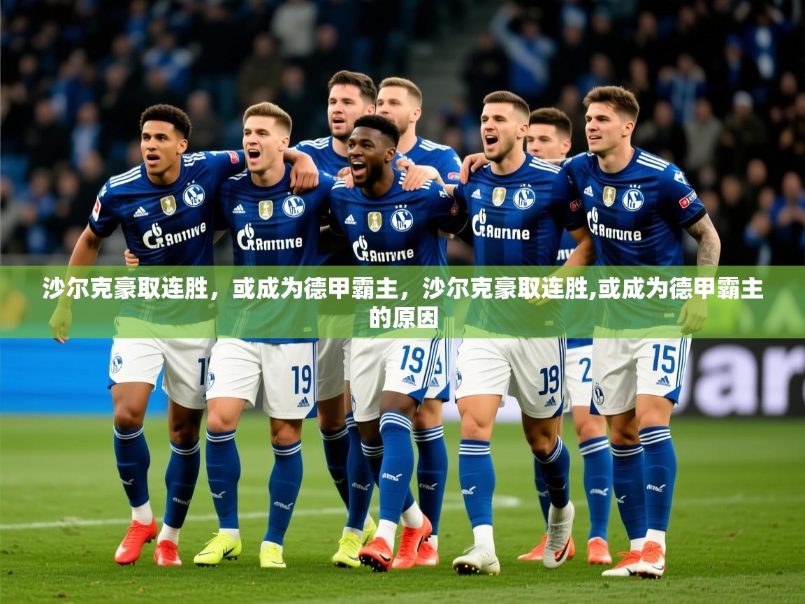 2025开云直播体育在线沙尔克豪取连胜，或成为德甲霸主，沙尔克豪取连胜,或成为德甲霸主的原因