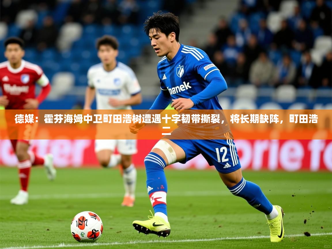 2025开云体育入口客服德媒:霍芬海姆中卫町田浩树遭遇十字韧带撕裂,将长期缺阵,町田浩二 第3张