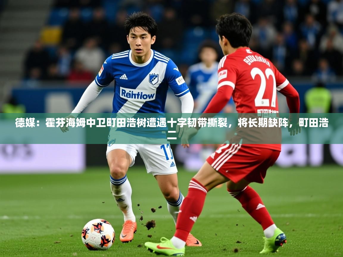 2025开云体育入口客服德媒:霍芬海姆中卫町田浩树遭遇十字韧带撕裂,将长期缺阵,町田浩二 第2张