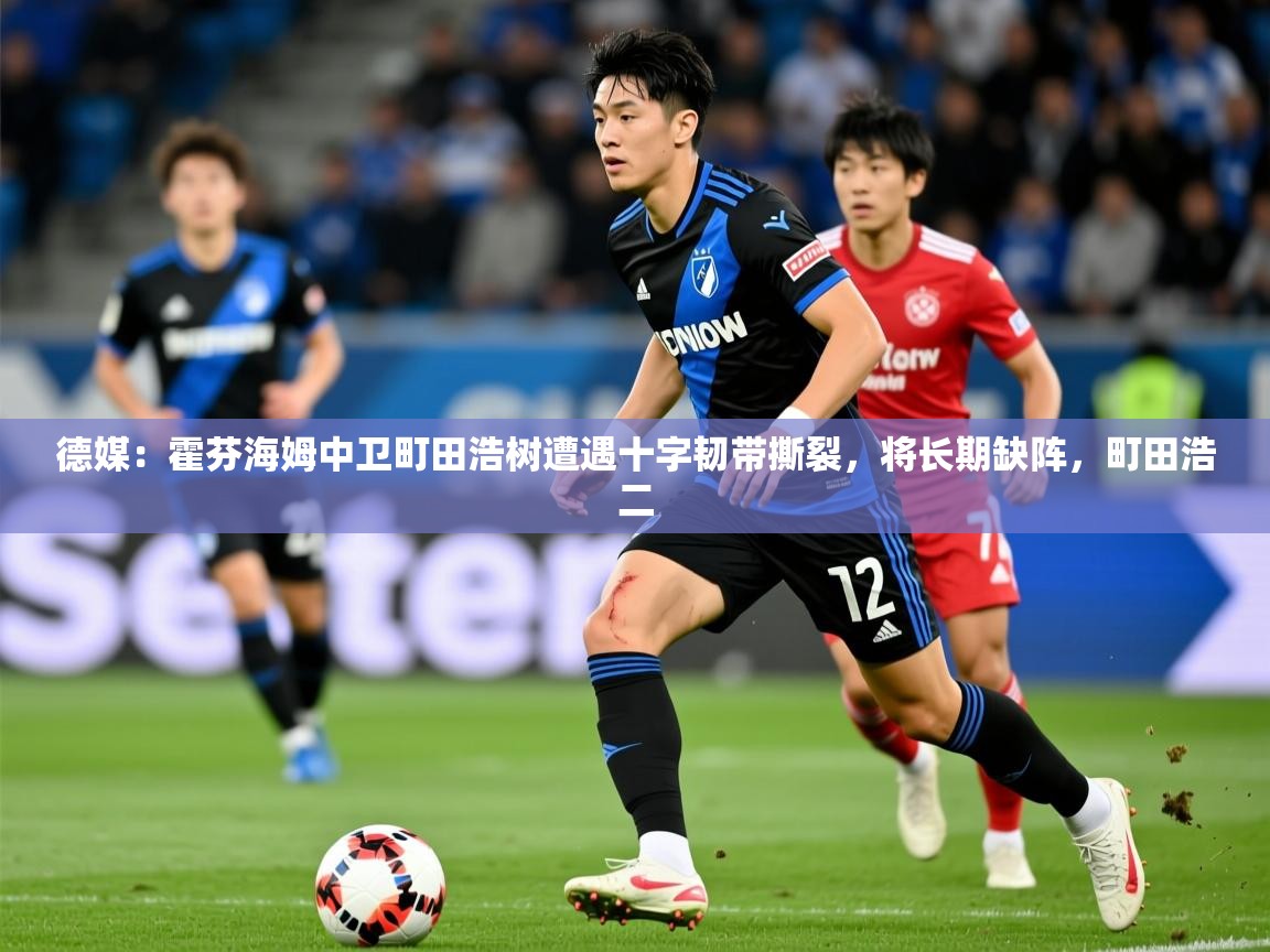 2025开云体育入口客服德媒:霍芬海姆中卫町田浩树遭遇十字韧带撕裂,将长期缺阵,町田浩二 第4张