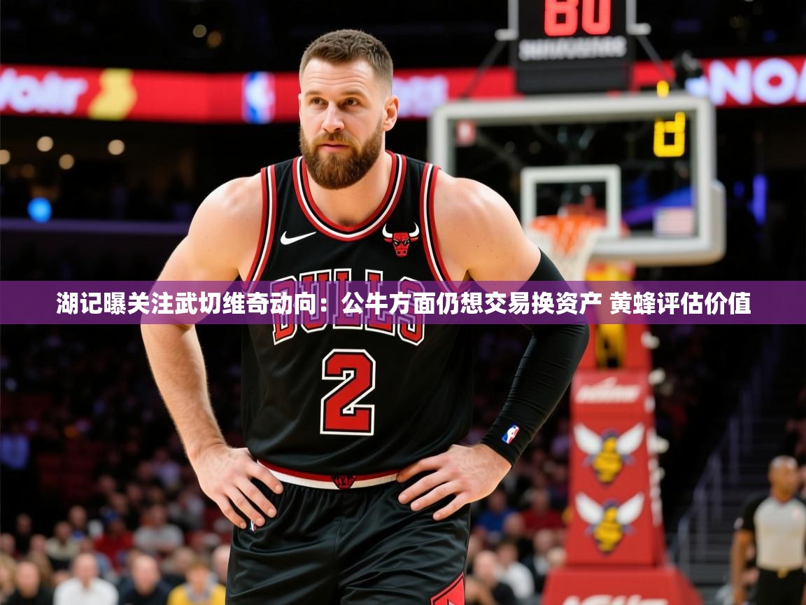 2025开云体育app评价湖记曝关注武切维奇动向:公牛方面仍想交易换资产 黄蜂评估价值 第1张
