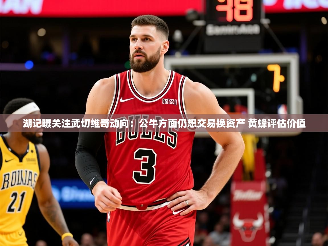 2025开云体育app评价湖记曝关注武切维奇动向:公牛方面仍想交易换资产 黄蜂评估价值 第2张