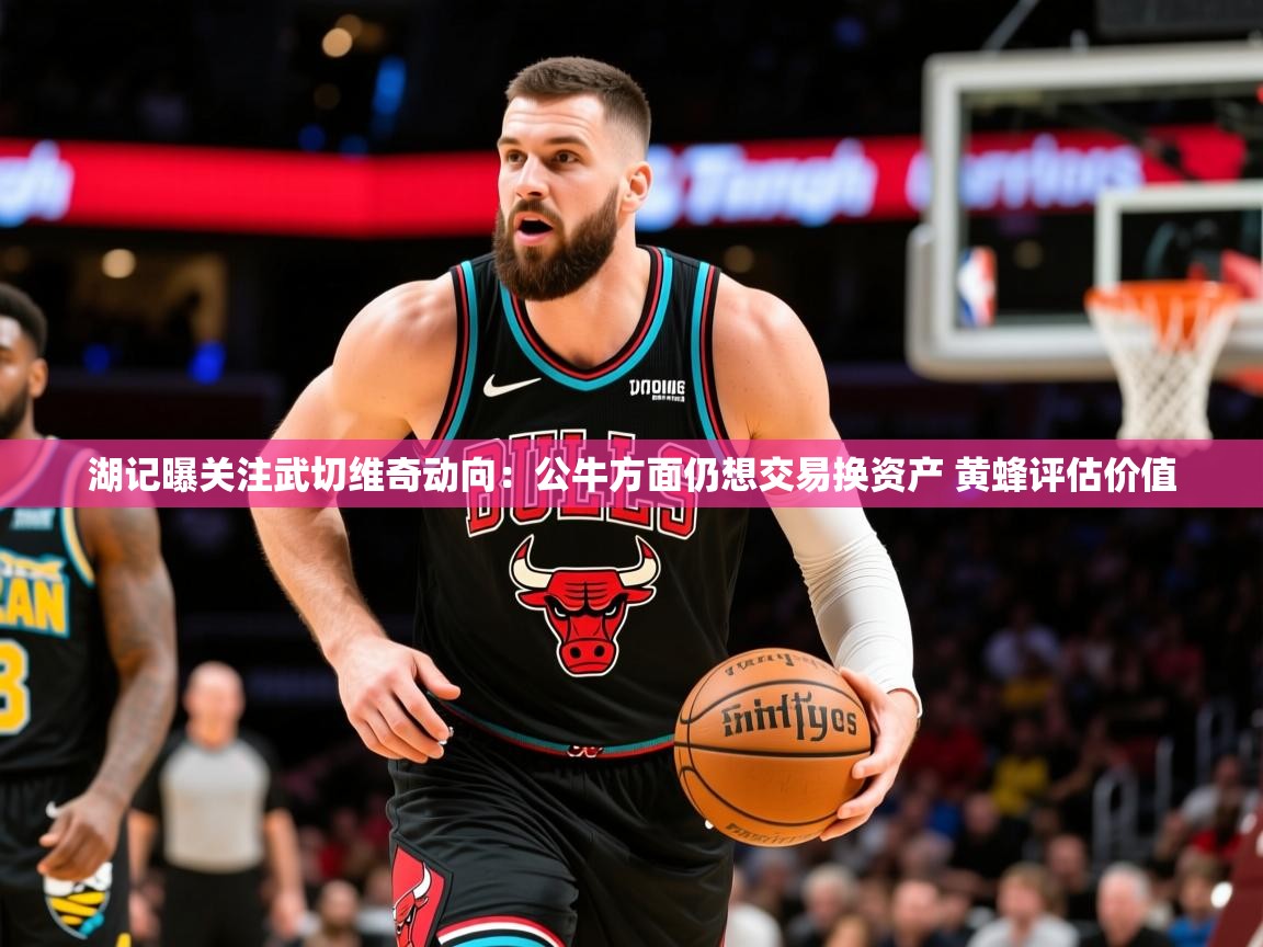 2025开云体育app评价湖记曝关注武切维奇动向:公牛方面仍想交易换资产 黄蜂评估价值 第3张