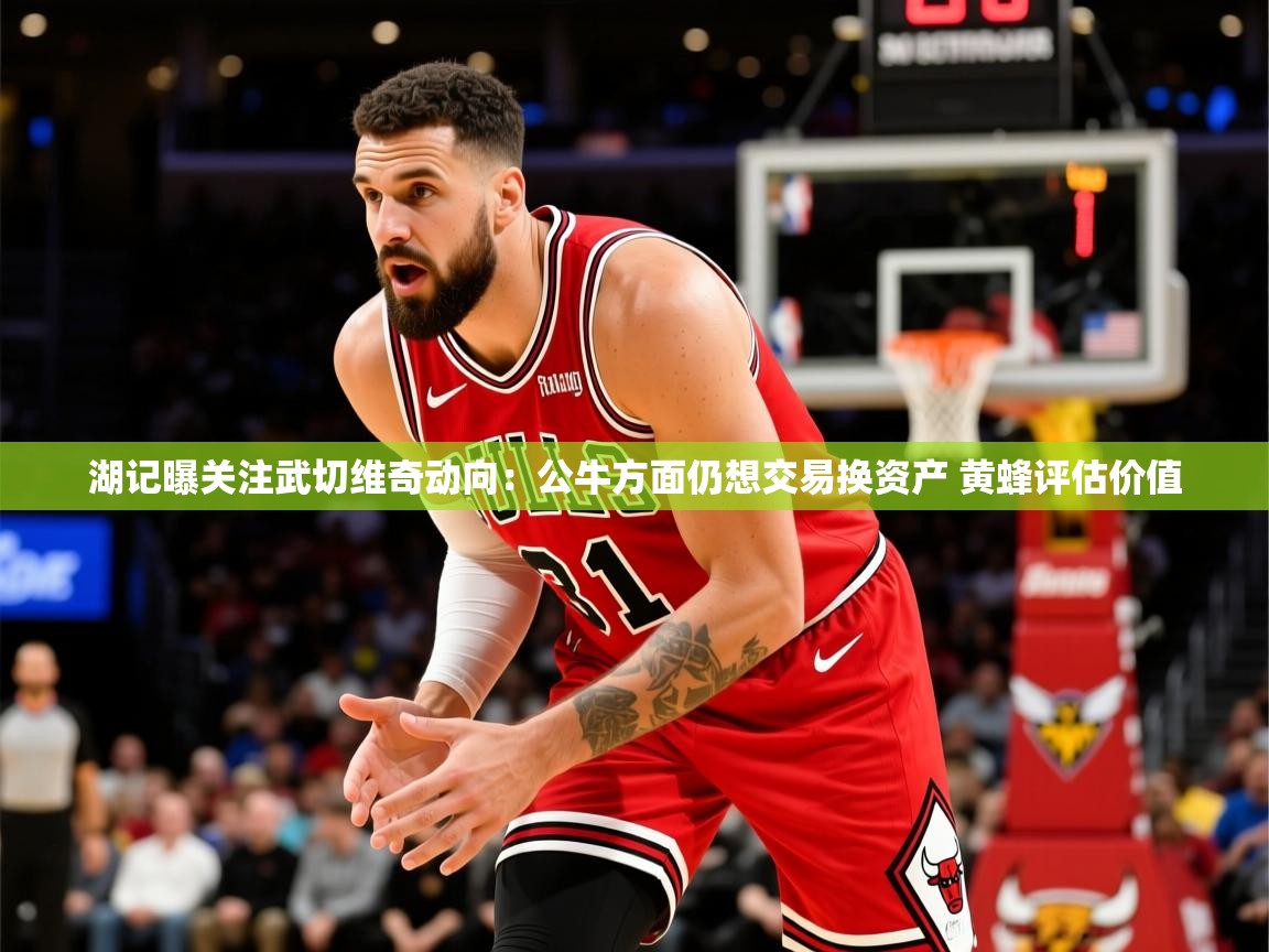 2025开云体育app评价湖记曝关注武切维奇动向:公牛方面仍想交易换资产 黄蜂评估价值 第4张
