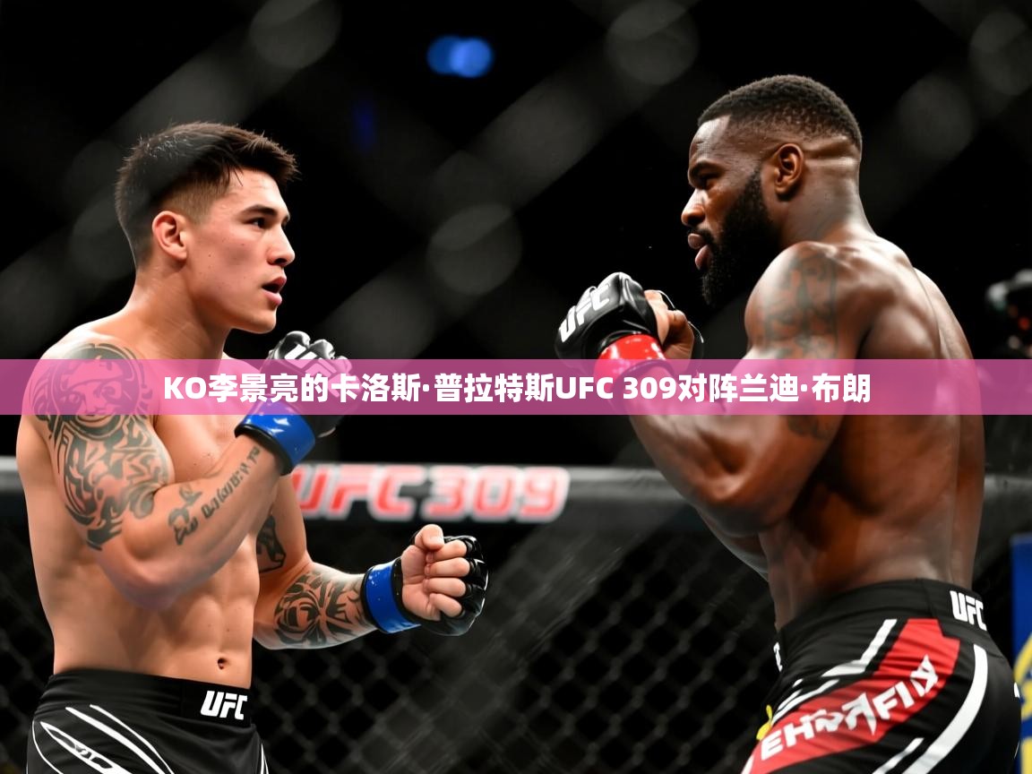 2025开云体育app官方下载KO李景亮的卡洛斯·普拉特斯UFC 309对阵兰迪·布朗  第4张
