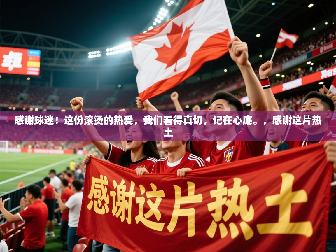 2025云开体育app官网入口网页版感谢球迷!这份滚烫的热爱,我们看得真切,记在心底。,感谢这片热土 第2张