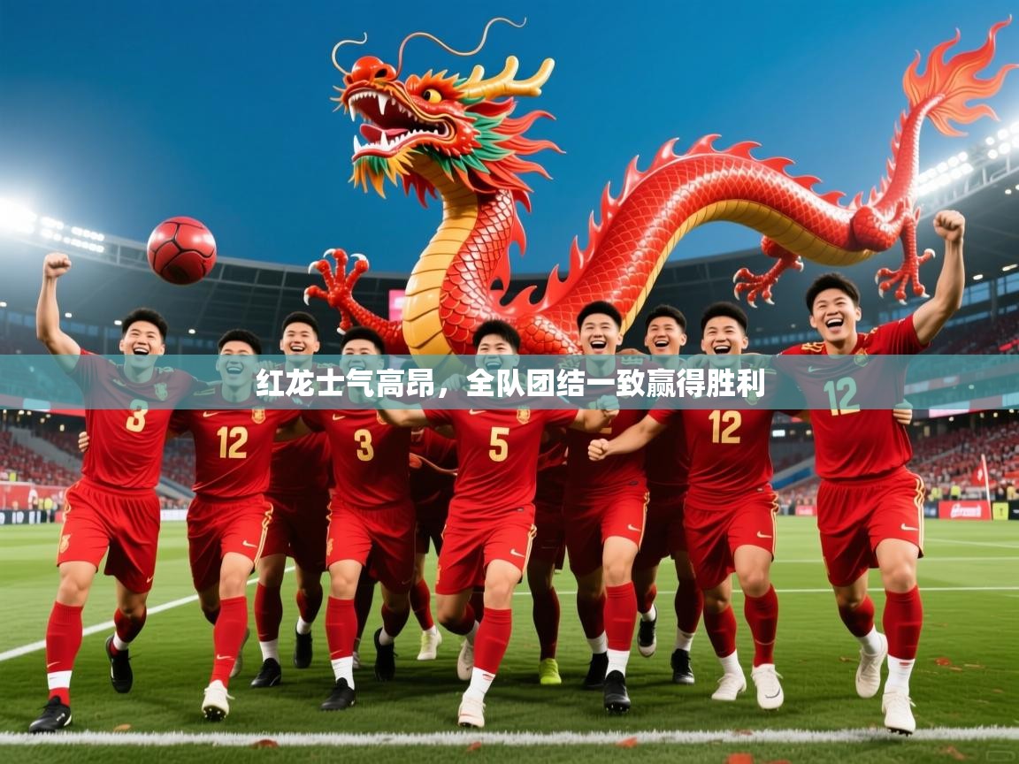 2025云开体育官网入口登录网页红龙士气高昂，全队团结一致赢得胜利  第2张