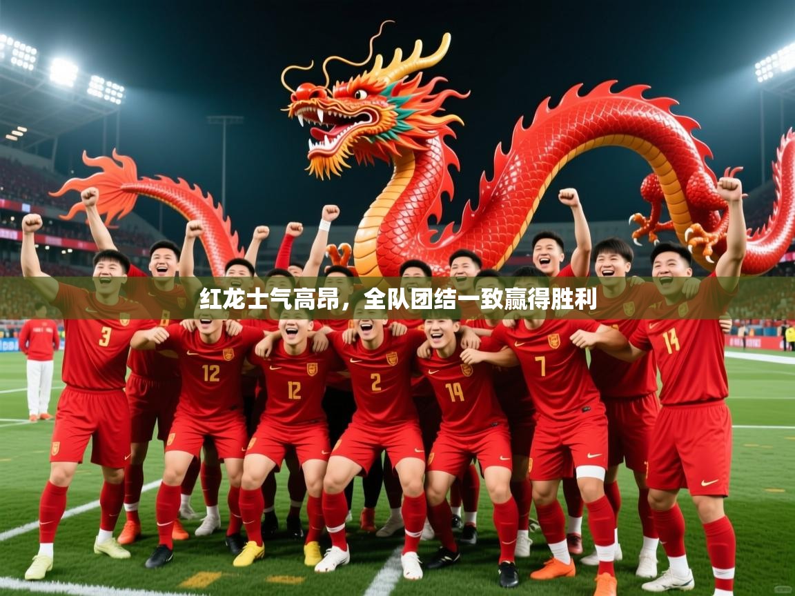 2025云开体育官网入口登录网页红龙士气高昂，全队团结一致赢得胜利  第4张