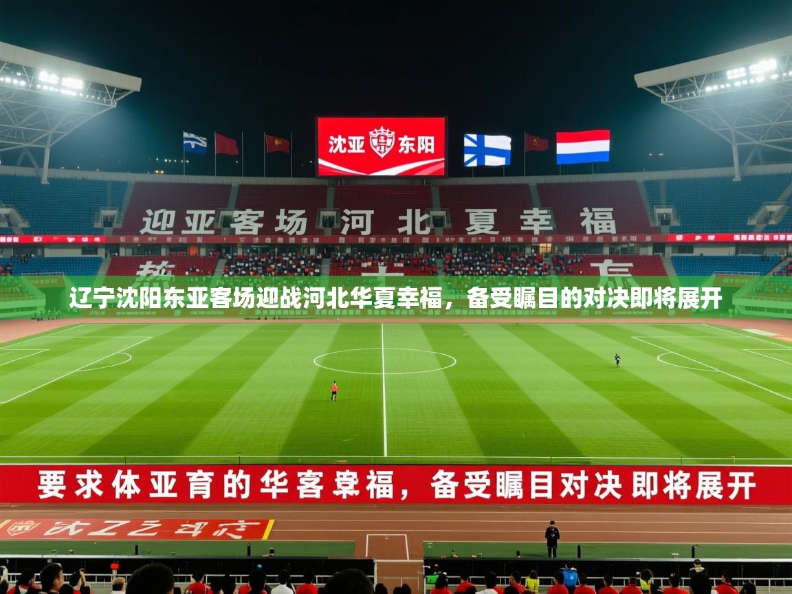 2026开云体育官网辽宁沈阳东亚客场迎战河北华夏幸福，备受瞩目的对决即将展开  第3张