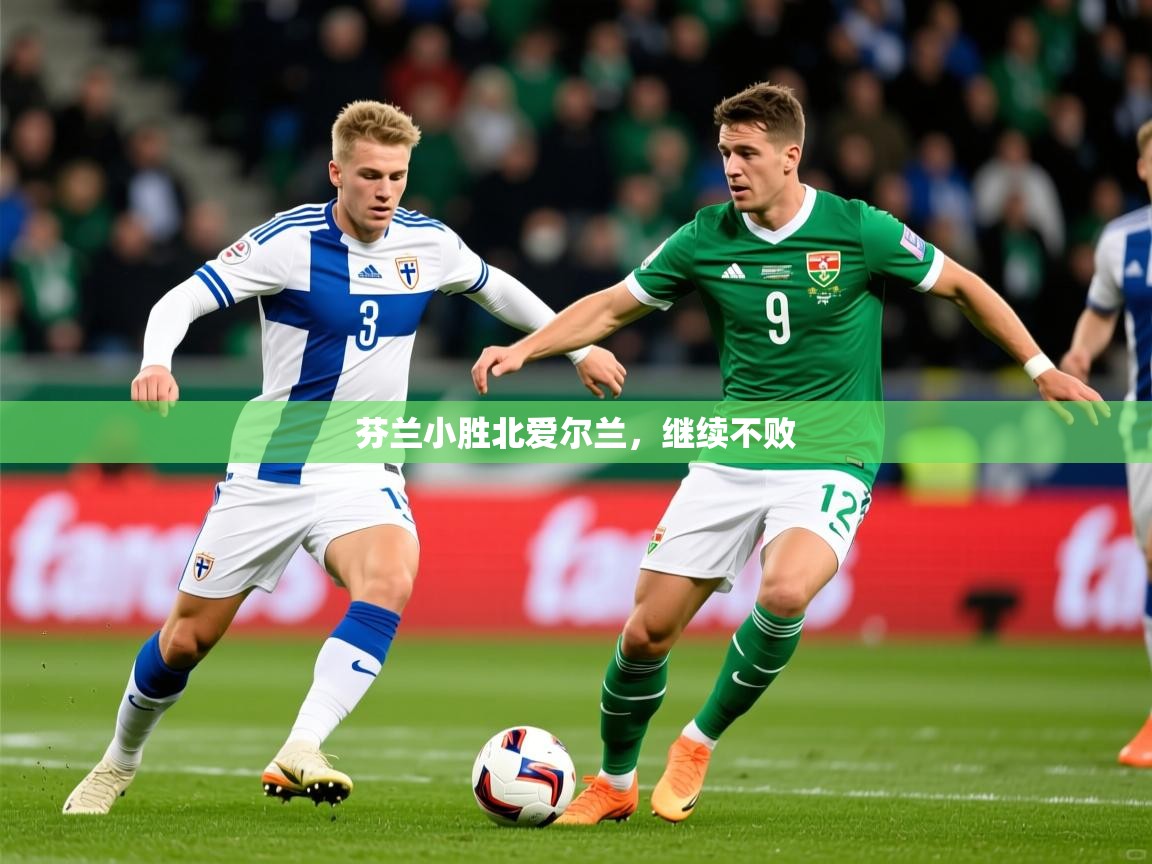 2026开云体育入口客服芬兰小胜北爱尔兰，继续不败  第3张