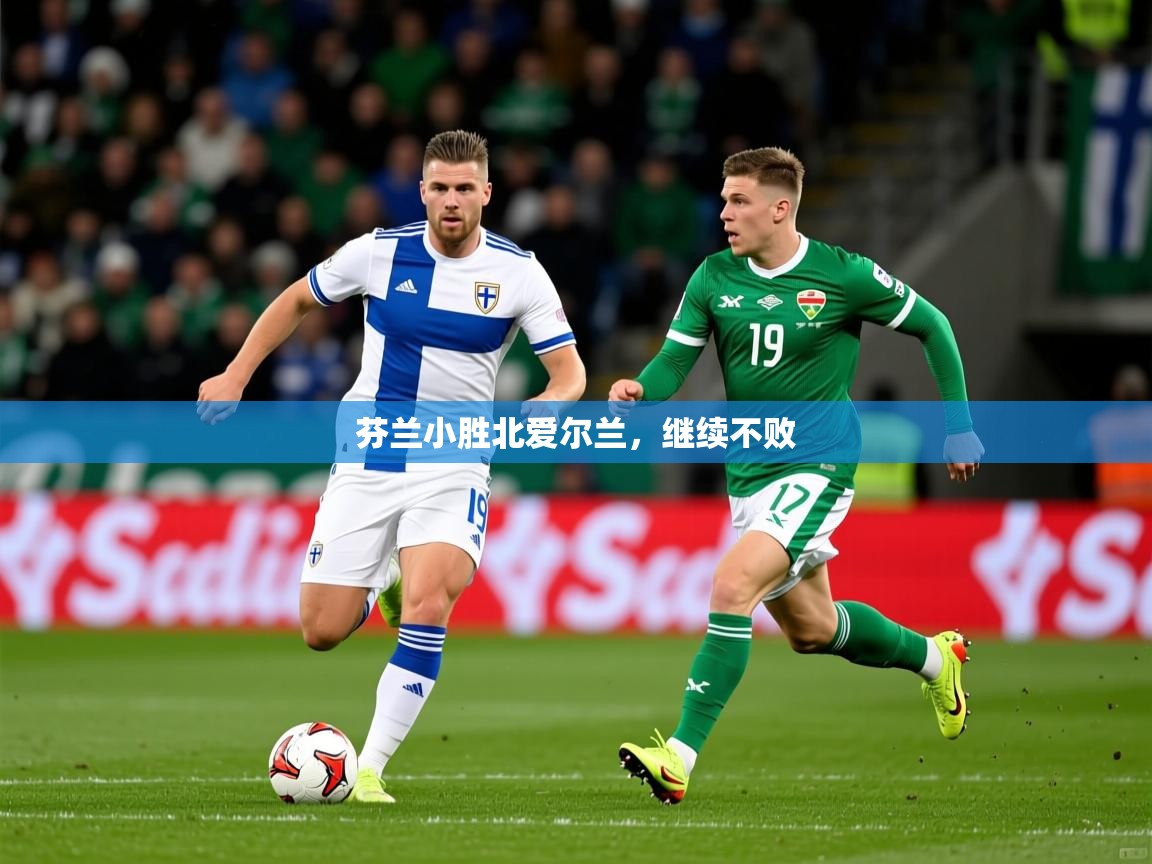 2026开云体育入口客服芬兰小胜北爱尔兰，继续不败  第4张