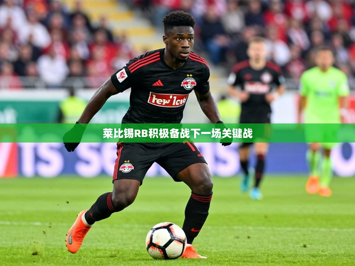 2026开云体育登入口网页版莱比锡RB积极备战下一场关键战  第3张