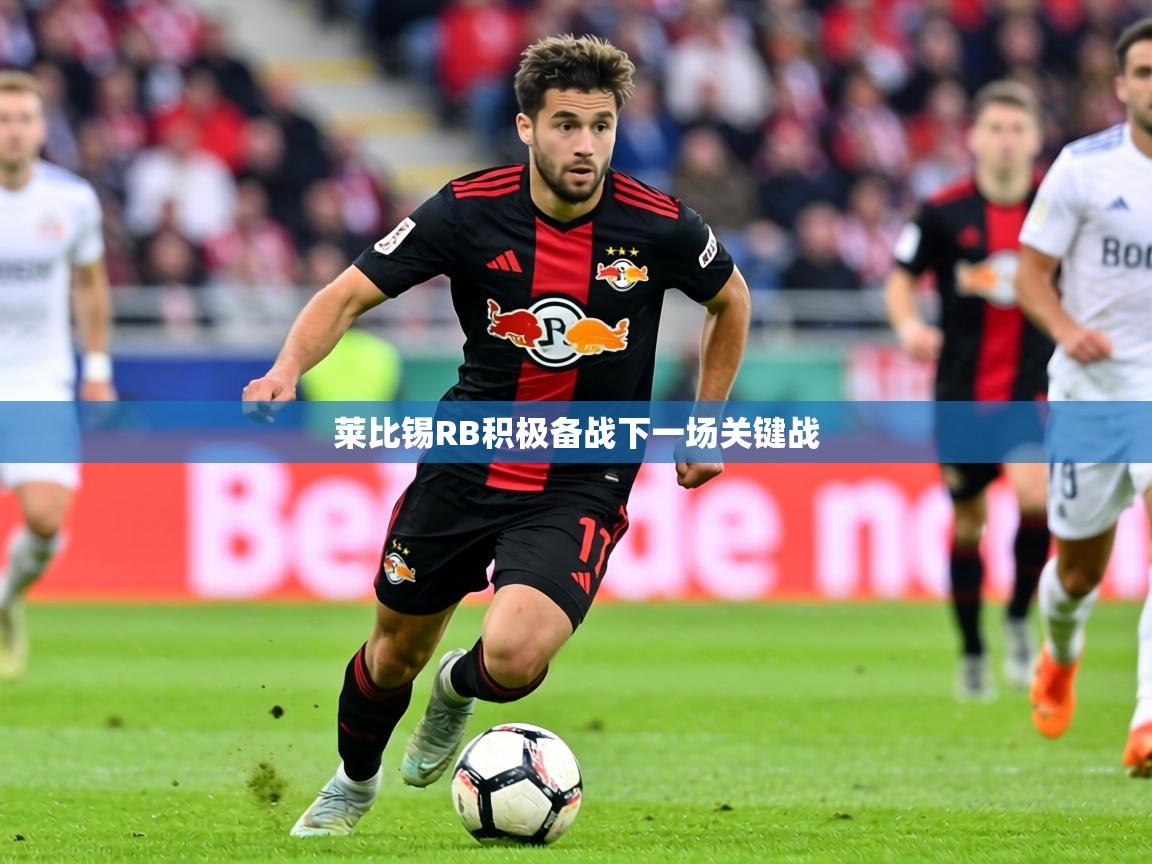 2026开云体育登入口网页版莱比锡RB积极备战下一场关键战  第4张