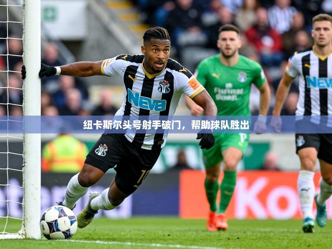 2026开运体育在线入口纽卡斯尔头号射手破门，帮助球队胜出  第2张