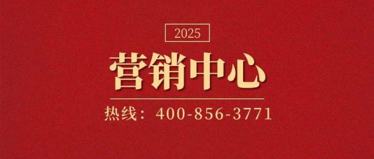 猎鹰队场上统领稳健，成为球队中流砥柱的简单介绍